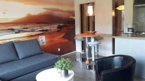 TIME-OUT met ZONNIG TERRAS, eigen KEUKEN, Dichtbij Dorp, Duinen, Strand en Vuurtoren , Incl verwarmd Hotel-ZWEMBAD